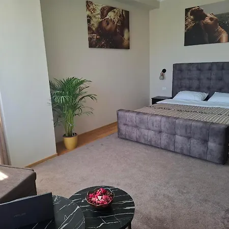 Carmen's One -garsoniera Decomandata Apartman Mamaia