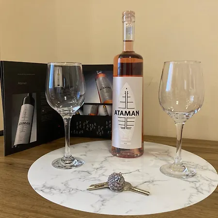 Апартаменты Carmen's One -garsoniera Decomandata *